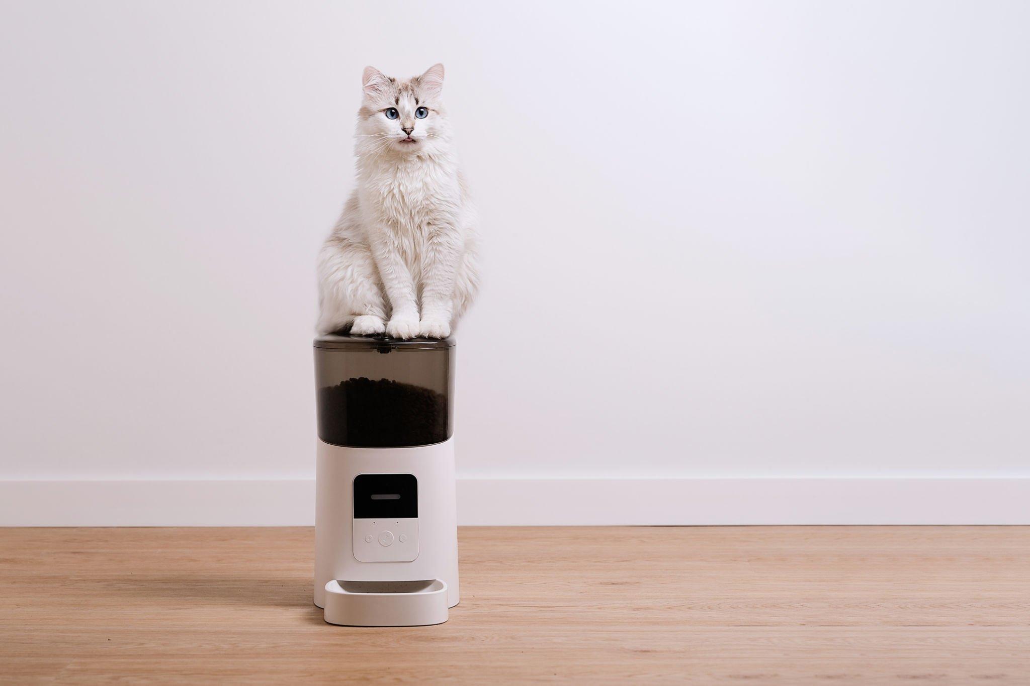 WOPET 7L Programmable Automatic Cat Feeder Review: Works great!